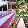 4000 Blush Silk Artificial Rose Petals Wedding Ceremony Flower Scatter Tables Decorations Bulk Supplies Wholesale view 3