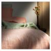 Bed, 100% Linen Duvet Cover Set, 3 Piece Belgian Flax Breathable Bedding, Queen Size with Tie Closure Style view 3