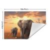 1 PVC Placemats Set Place Mats Cute Wild Elephant Non-Slip Weave Place Mats 12" x 18" Farmhouse Table Mat Set for Family Dinners Wedding Parties view 2