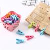 BE-TOOL 60 Pcs Windproof Clip with Basket Portable Clip for Greeting Card Small Clothes Pegs for Socks Towels Underwear Clothespin (Purple+Green) view 3