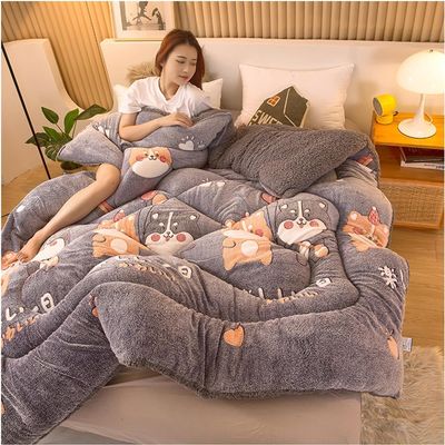 Super Warm Lamb Quilt Winter Blanket,Winter Cotton Comforter - Double Sided Velvet Warm Quilt Core,Winter Warm Fluffy Comfortable Bedding,Single Double Quilt (Color : C, Size : 180x220cm/3.5kg)