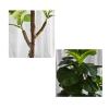 Fake Plant Decoration 47 Inch Artificial Ficus Ficus Large Pot, Artificial Ornamental Tree Close to Natural Tree, Artificial Faketree Artificial Plants view 3