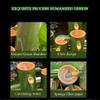 UNbit Bamboo Feng Shui Water Fountain Outdoor Japanese Garden Feature Spout and Pump, Garden Handmade Fountain Sculptures Statues Arts Crafts Flowing Waterfall,30cm Fountain, 40cm view 3