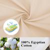 100% Egyptian Cotton Pillow Protectors Set of 4, 400 Thread Count Sateen Weave Pillowcase, Easy Care Zippered Style Pillow Covers (Beige, 4 Pack, Queen) view 3