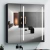 30x30 inch LED Bathroom Medicine Cabinet Surface Mount Double Door Lighted Medicine Cabinet, Medicine Cabinets for Bathroom with Mirror Defogging, Dimmer Black view 1