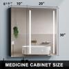 30x30 inch LED Bathroom Medicine Cabinet Surface Mount Double Door Lighted Medicine Cabinet, Medicine Cabinets for Bathroom with Mirror Defogging, Dimmer Black view 2