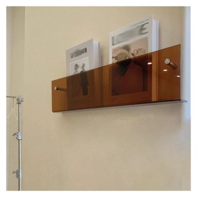 JLXJYS 1 Pack Acrylic Magazine Wall Rack, Clear Brochure Holder Stand Wall Mount Literature Catalog Bookshelf, Long 40 60 80 100 120 Cm Acrylic Stand (Color : Teal, Size : 60x5x15cm(23.6x1.9x5.9in))