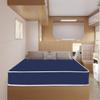 Greaton, 8-Inch Medium Firm Water-Resistance Foam Vinyl Mattress, Easy to Clean, Comfortable & Noise Free, Queen, Blue view 2