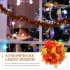 HOLIDYOYO Spring Festival Decorative String Lights Led Bulbs Battery-Operated Light String for Year Create Festive Ambiance Easy to Use view 4