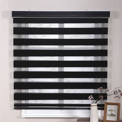 Zebra Blinds for Windows, Window Shades Dual Layer Light Filtering Sheer Fabric, Roller Shades, Zebra Shades for Privacy Protection for Home and Office