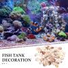 Housoutil 1bag Tiny Natural Sea Shells for Crafts and Decorations for Fish Tanks and Projects Bag of Delicate Clam Shells for Beach Theme Decor view 2