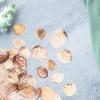 Housoutil 1bag Tiny Natural Sea Shells for Crafts and Decorations for Fish Tanks and Projects Bag of Delicate Clam Shells for Beach Theme Decor view 3