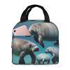 Manatee Animals Print Lunch Bag For Women Men Insulated Lunch Box For Adult Reusable Lunch Tote Bag For Work Travel view 1