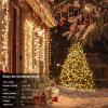 echosari 2 Pack Color Changing String Lights, 33 Ft 100 LED Christmas Fairy Lights Battery Operated Green Wire String Lights with Remote Timer for Bedroom Garden Party Wedding Deco (Multicolor) view 3