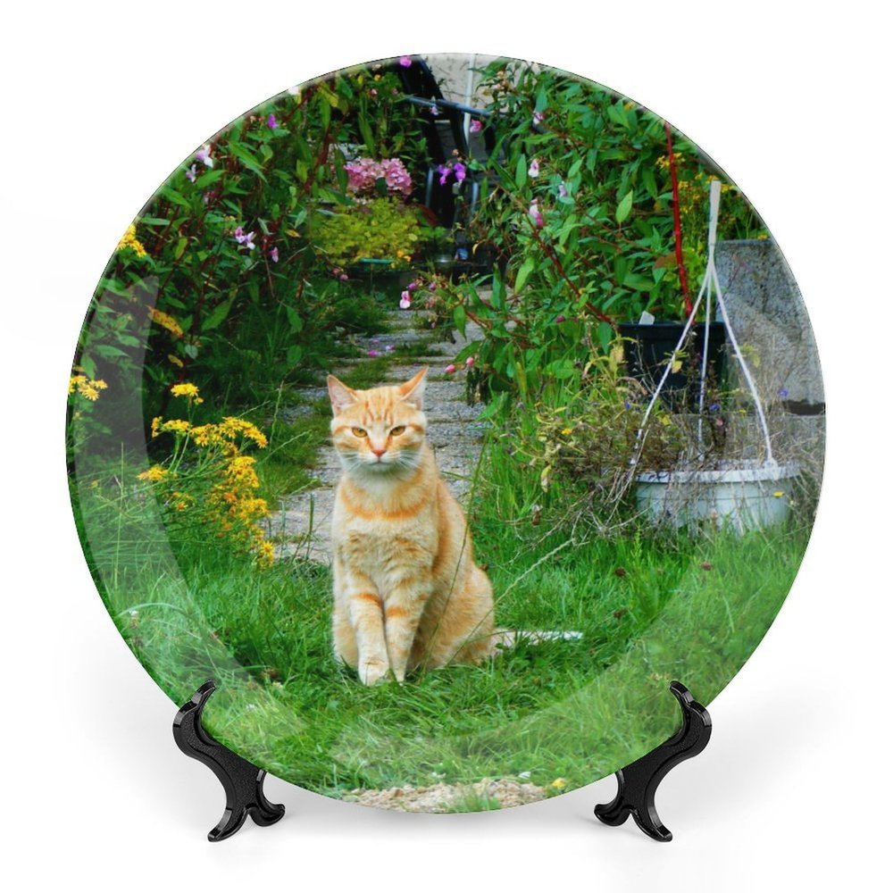 Cat in Garden Decorative Plate for Wall Ceramic Home Wobble-Plate with Display Stand Table Decor Ornament Dinner Plate Dessert Dish Holiday Christmas Decoration 7"