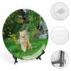 Cat in Garden Decorative Plate for Wall Ceramic Home Wobble-Plate with Display Stand Table Decor Ornament Dinner Plate Dessert Dish Holiday Christmas Decoration 7" view 4