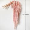 DongArts 5 Pcs Bleached Wisteria Vine Hanging Dried Flowers, Natural Preserved Hanging Amaranthus Flowers for Wedding Bouquet, Wall Home Party Decor (Romantic Pink) view 2