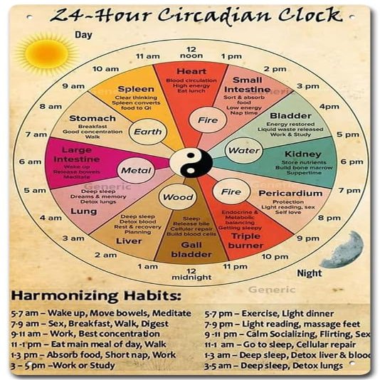 24 Hour Circadian Clock Organ Clock Unframed Knowledge Wall Art Chinese Medicine Healthy Art Cafe School Decoration Tin Sign Home Decor Home Art Metal Signs Wall Art Wall Decor Poster 6 * 8 in