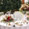16 Upgraded Tablecloth Clips,Thicker Wider Clear Tablecloth Clips,Plastic Table Cloth Hold Down Clips Table Cloth Holder Cover Clamps for Restaurant Picnics Marquees Weddings Graduation Party. view 4