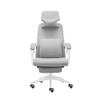 Luo Yi - CN Gaming Chair, Office Chair Ergonomic Desk Chair Mesh Computer Chair Back Support Mid Back Executive Chair Task Rolling Swivel Chair for Back Pain, Grey view 1