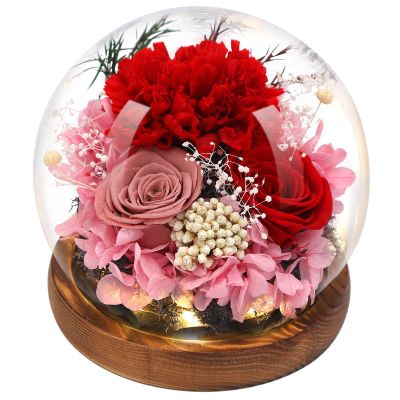 Eyesofspring Preserved Flowers,Rose in Glass Dome with LED Light, Gifts for Her, Women, Mom,Grandma,Girlfriend, Wife- Style3