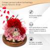 Eyesofspring Preserved Flowers,Rose in Glass Dome with LED Light, Gifts for Her, Women, Mom,Grandma,Girlfriend, Wife- Style3 view 3