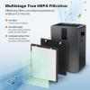 Air400 Filter Replacement for Bissell Air400, 2 True HEPA and 2 Carbon Filter with 8 Pre-Filter, Compared to Part #2521,2520,3365 view 2