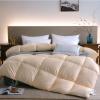 ATYUJKB Queen Size Down Comforter Duvet 87x94in(11lbs), Cotton Lightweight Bedding, Duvet Quilts Duvet Cover Cotton, Blanket Soft and Breathable, Comforter Cotton with Corner Tabs view 1