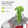 SIFENE Compact Centrifugal Juicer Machine, 500W Peak Power Juice Extractor for Fruit and Vegetable, 3 Speed Electric Juicer with 2.5 Inch Wide Chute, Easy to Clean for Small Kitchen view 2