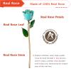 AliveRose Anniversary Day Gift for Momen Roses, Unique Design Gold Plated Rose for Anniversary Valentines Mothers Day Birthday Gifts (TealBlue Handmade with Crystal Vase) view 2