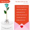 AliveRose Anniversary Day Gift for Momen Roses, Unique Design Gold Plated Rose for Anniversary Valentines Mothers Day Birthday Gifts (TealBlue Handmade with Crystal Vase) view 4
