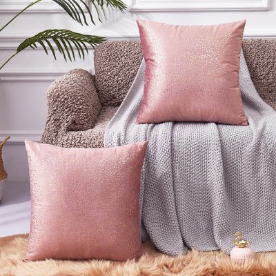 EUCIOR Rose Gold Pillow Cover, Decor Soft Velvet Hidden Zipper Closure Accent Pink Velvet Pillow Cover 16x16, Set of 2 Throw Pillows for Couch/Bedroom