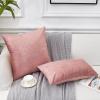 EUCIOR Rose Gold Pillow Cover, Decor Soft Velvet Hidden Zipper Closure Accent Pink Velvet Pillow Cover 16x16, Set of 2 Throw Pillows for Couch/Bedroom view 2