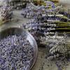 OneDove Lavender Buds Dried Flowers,100% Natural Dried Lavender Buds, Ultra Blue Grade (4 Pounds) view 2