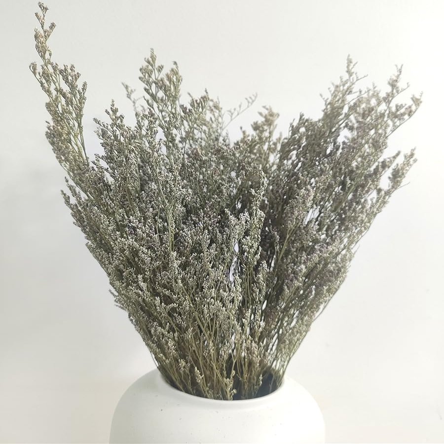 Preserved Valentine Grass Natural Limonium Bouquet, Real Caspia Bellidifolium, Sea Lavender for Wedding Home Dcor, Door Wreath, Party Table Vase Decoration (Natural)