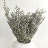 Preserved Valentine Grass Natural Limonium Bouquet, Real Caspia Bellidifolium, Sea Lavender for Wedding Home Dcor, Door Wreath, Party Table Vase Decoration (Natural) view 1
