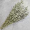 Preserved Valentine Grass Natural Limonium Bouquet, Real Caspia Bellidifolium, Sea Lavender for Wedding Home Dcor, Door Wreath, Party Table Vase Decoration (Natural) view 2