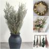 Preserved Valentine Grass Natural Limonium Bouquet, Real Caspia Bellidifolium, Sea Lavender for Wedding Home Dcor, Door Wreath, Party Table Vase Decoration (Natural) view 4