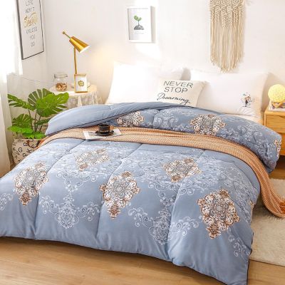 XHCTNN Spring Silk Quilt Queen Size, Skin Friendly Lightweight Comforter with Mulberry Silk Filling - Class A Healthy Fluffy Spring Autumn Quilt Core(D,200 * 230cm/1.5kg)