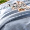 XHCTNN Spring Silk Quilt Queen Size, Skin Friendly Lightweight Comforter with Mulberry Silk Filling - Class A Healthy Fluffy Spring Autumn Quilt Core(D,200 * 230cm/1.5kg) view 2