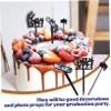 VICASKY 30pcs Graduation Cake Toppers Food-grade Decorative Picks for Graduation Parties Smooth Finish Design for Celebrations and Gatherings view 3