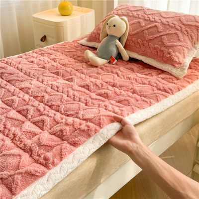 CHDGSJ Bed Mattress Thickness Bedding Mat, Winter Warm Mattress Tatami Mat Breathable Student Dormitory Sleeping Pad for Kids Adults(F,120 * 200cm)