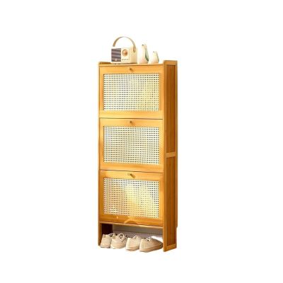 HARAY Shoe Rack Entry Door Entrance Simple Shoe Cabinet Household Doorway Tumbler Shoe Rack Large Capacity Shoe Storage Organizer (Color : B, Size : XL)