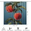 Dunmat 4 Pieces Farmhouse Peach Shower Curtain Set Abstract Fruit Tree Nature Bathroom Decor Sets with Rugs Bathroom Accessories Set Bathroom Curtain Shower Set with 12 Hooks view 2