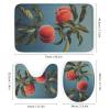 Dunmat 4 Pieces Farmhouse Peach Shower Curtain Set Abstract Fruit Tree Nature Bathroom Decor Sets with Rugs Bathroom Accessories Set Bathroom Curtain Shower Set with 12 Hooks view 3