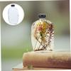 Ciieeo Set of 2 Floating Glass Bottles Mushroom Black Cap Crafted Storage Jars for Aromatherapy Decor view 2