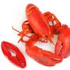 Glomora Red Lobster Cracker, Crab Crackers Tools, Lobster Crackers, Nut Cracker Tools Stainless Steel (5.1 * 2.0inch) view 3