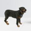 Baoblaze Dog Statue Puppy Standing Figurine Statue,Highly Detailed Desktop Decor Garden Statue Dog Sculptures for Garden Home, Rottweiler view 2