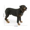 Baoblaze Dog Statue Puppy Standing Figurine Statue,Highly Detailed Desktop Decor Garden Statue Dog Sculptures for Garden Home, Rottweiler view 3