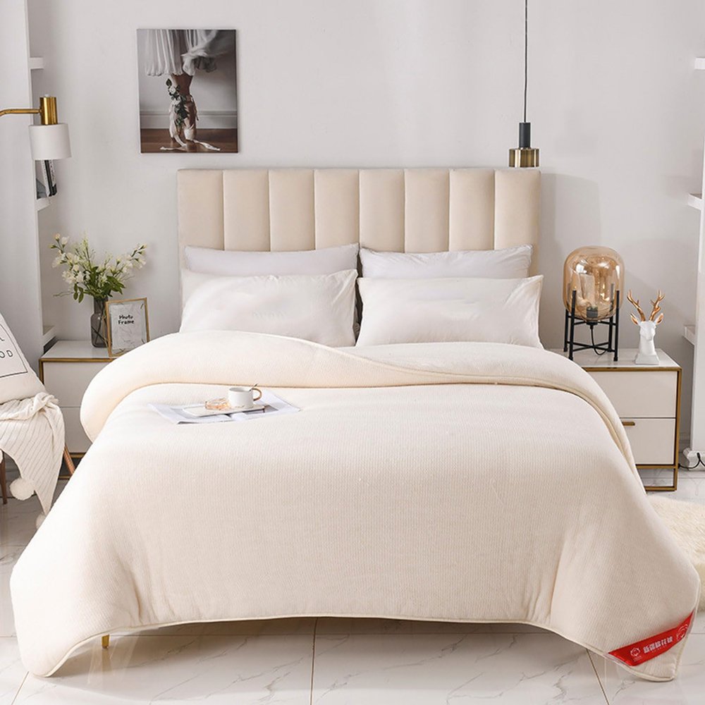 ATYUJKB Queen Size Down Comforter Duvet 120x150cm(1kg), Bedding Sets Duvet Fluffy, Quilt Reversible Quilted Blankets Coverlets Bed, Christmas Comforters or Quilts Queen Size Blanket Cover